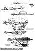 Imagine flying one of these!
